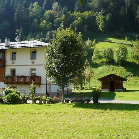 B&B Il Sorriso Dei Nonni Pracorno di Rabbi Luaran gambar